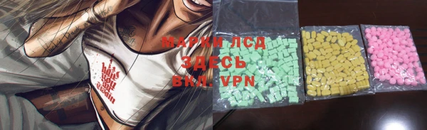 стаф Аркадак