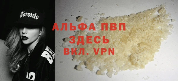 стаф Аркадак