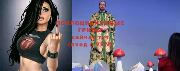 дурь Арсеньев