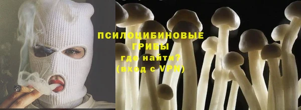 дурь Арсеньев