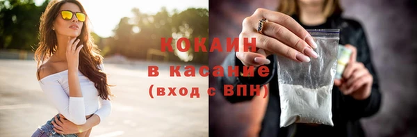 стаф Аркадак