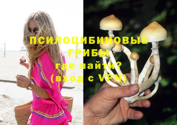 spice Армянск
