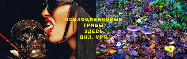 spice Армянск