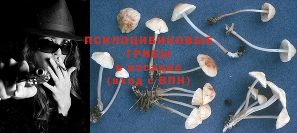 дурь Арсеньев