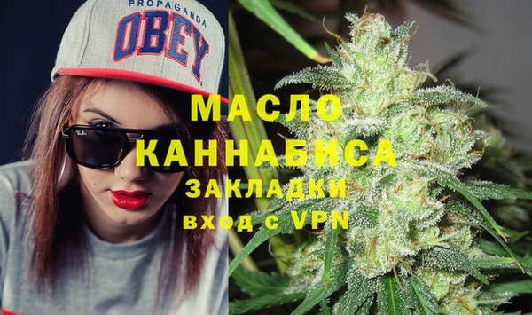 стаф Аркадак