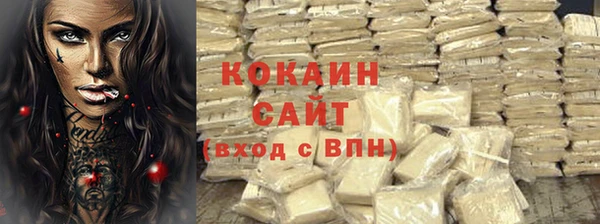стаф Аркадак