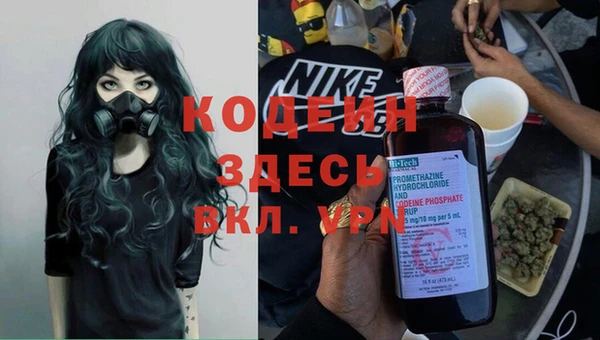 стаф Аркадак