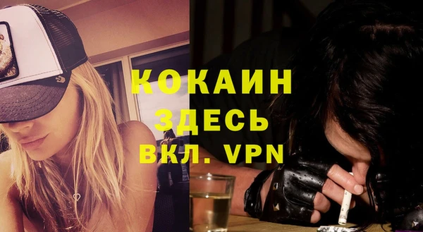 стаф Аркадак