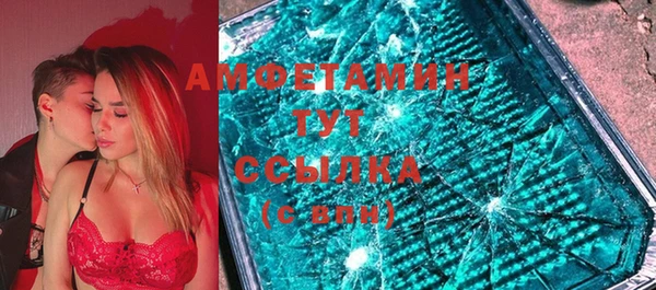 стаф Аркадак
