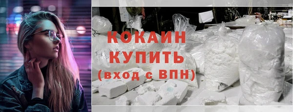 стаф Аркадак