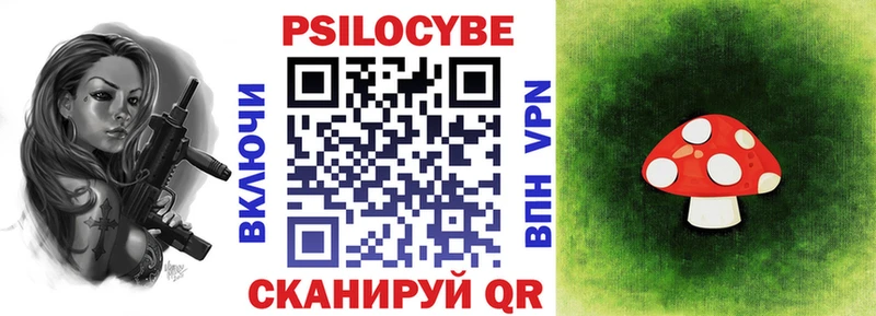 Галлюциногенные грибы Psilocybe  Беломорск 